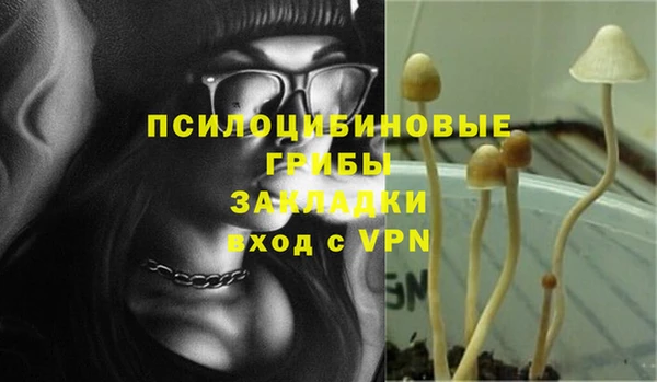 индика Нефтегорск