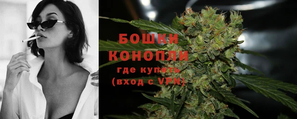 индика Нефтегорск