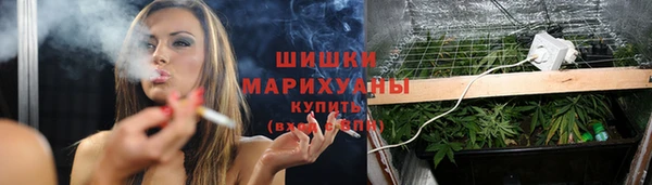индика Нефтегорск