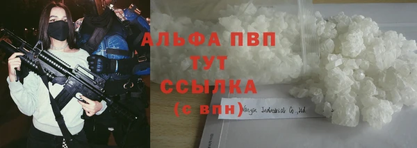 индика Нефтегорск