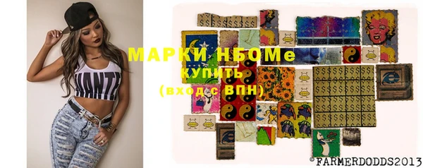 индика Нефтегорск