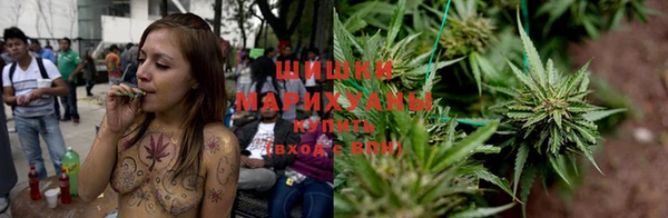 индика Нефтегорск