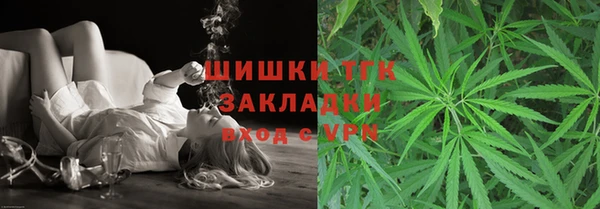 индика Нефтегорск