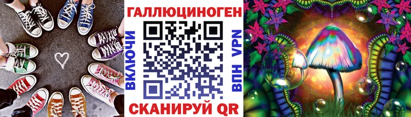 продажа наркотиков Королёв Псилоцибиновые грибы GOLDEN TEACHER